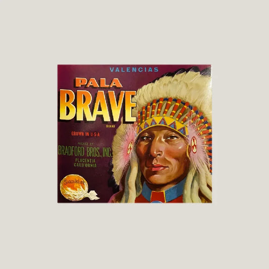 Rare 1940s Pala Brave Sunkist Label Bursts with Vintage Charm