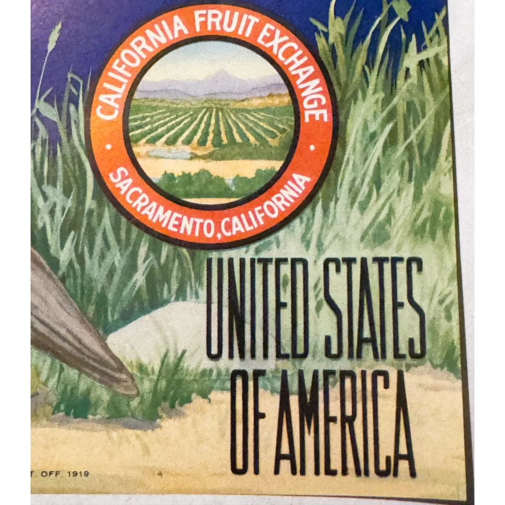 Rare 1940s Quail Crate Label from California Fruit Exchange