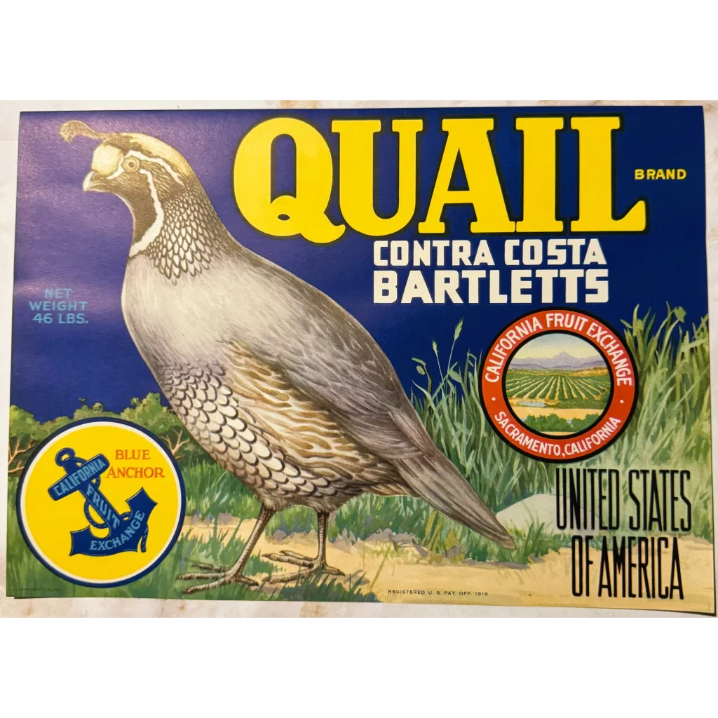 Rare 1940s Quail Crate Label from California Fruit Exchange
