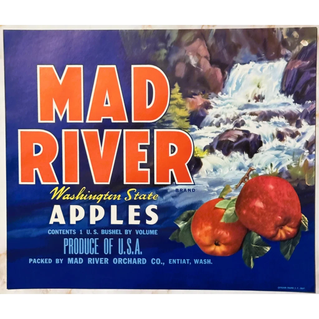 Rare 1950s Mad River Apple Label Showcases Washington's Bounty