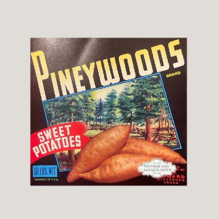 Rare 1950s Pineywoods Sweet Potato Crate Label from Texas