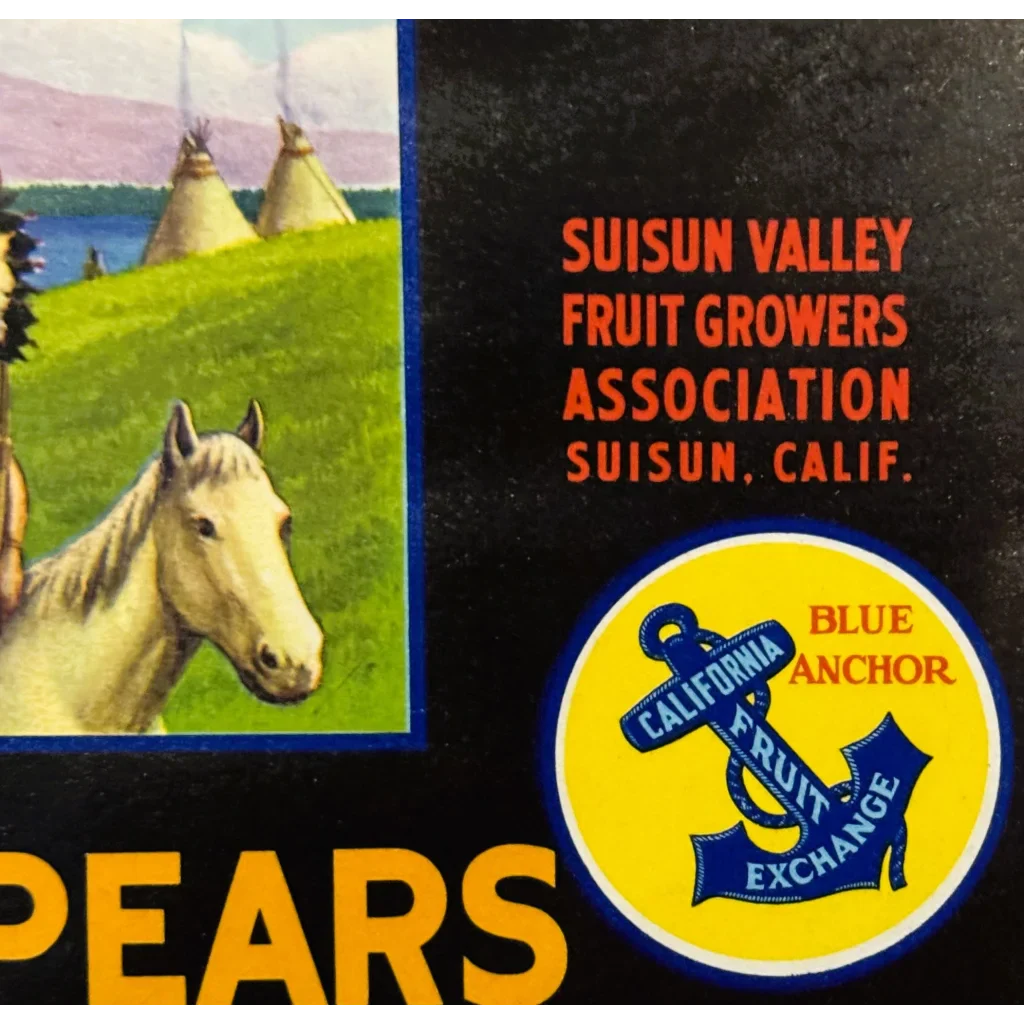 Rare 1950s Rancheria Pear Label with Native American Scene