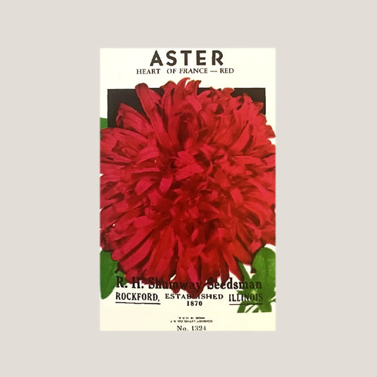 Rare 1960s R.H. Shumway Aster Seed Packet Collector's Gem