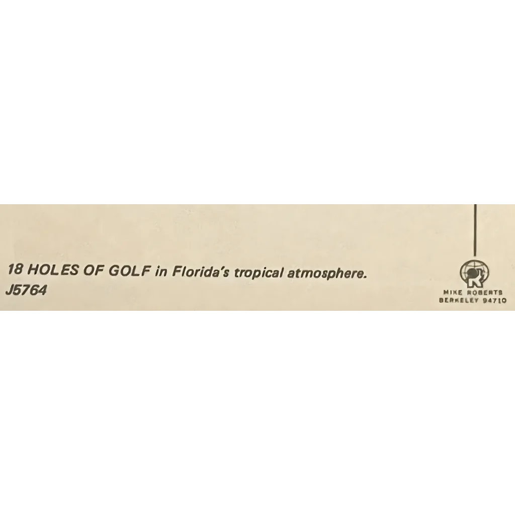 Rare 1970s Florida Sunshine State Golf Postcard Captures Golfing Era