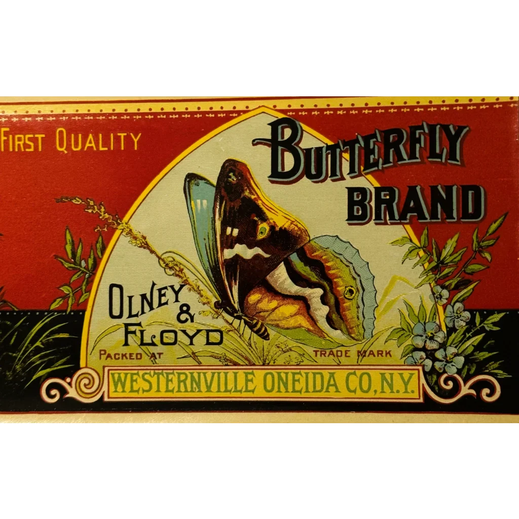 Rare Antique 1890s Butterfly Boston Marrow Squash Label Unearthed