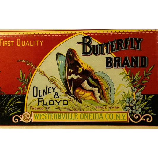 Rare Antique 1890s Butterfly Boston Marrow Squash Label Unearthed