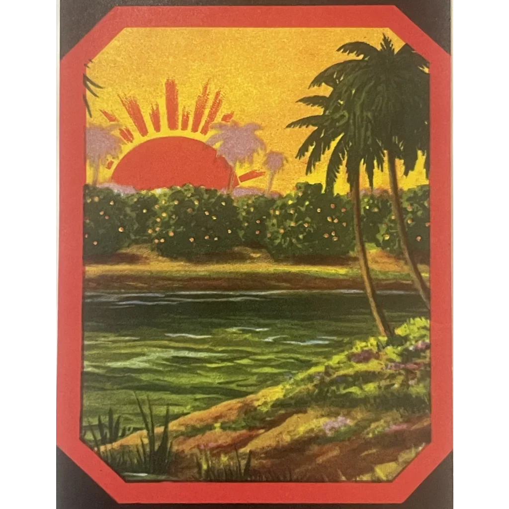 Rare 1940s Orlando Shine Crate Label Tropical Vintage Collectible