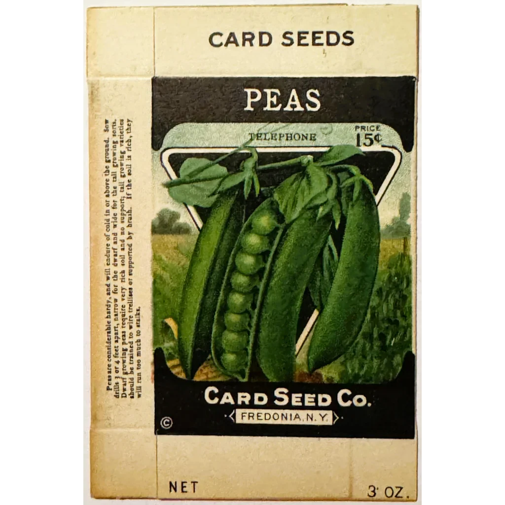 Rare Antique Vintage Pea Box from Card Seed Company Discovered