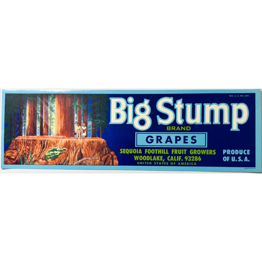 Rare Sequoia Foothill Fruit Growers 70s Grape Crate Label