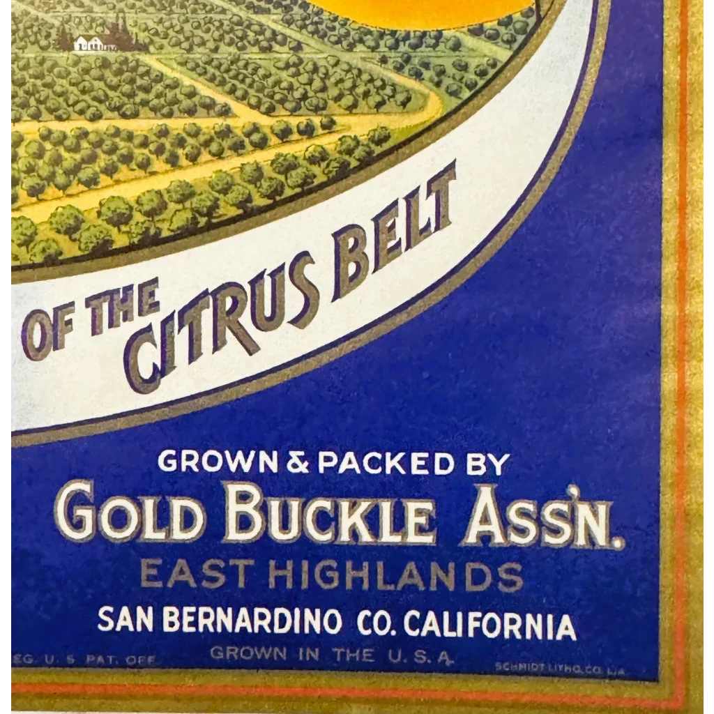 Rare Vintage 1930s Gold Buckle Orange Crate Label from California