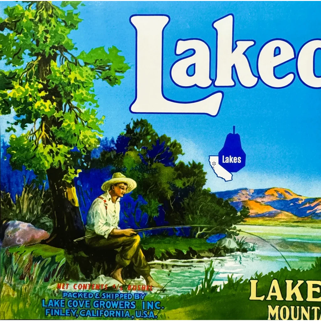 Rare Vintage 1950s Lakecove Bartlett Pears Crate Label