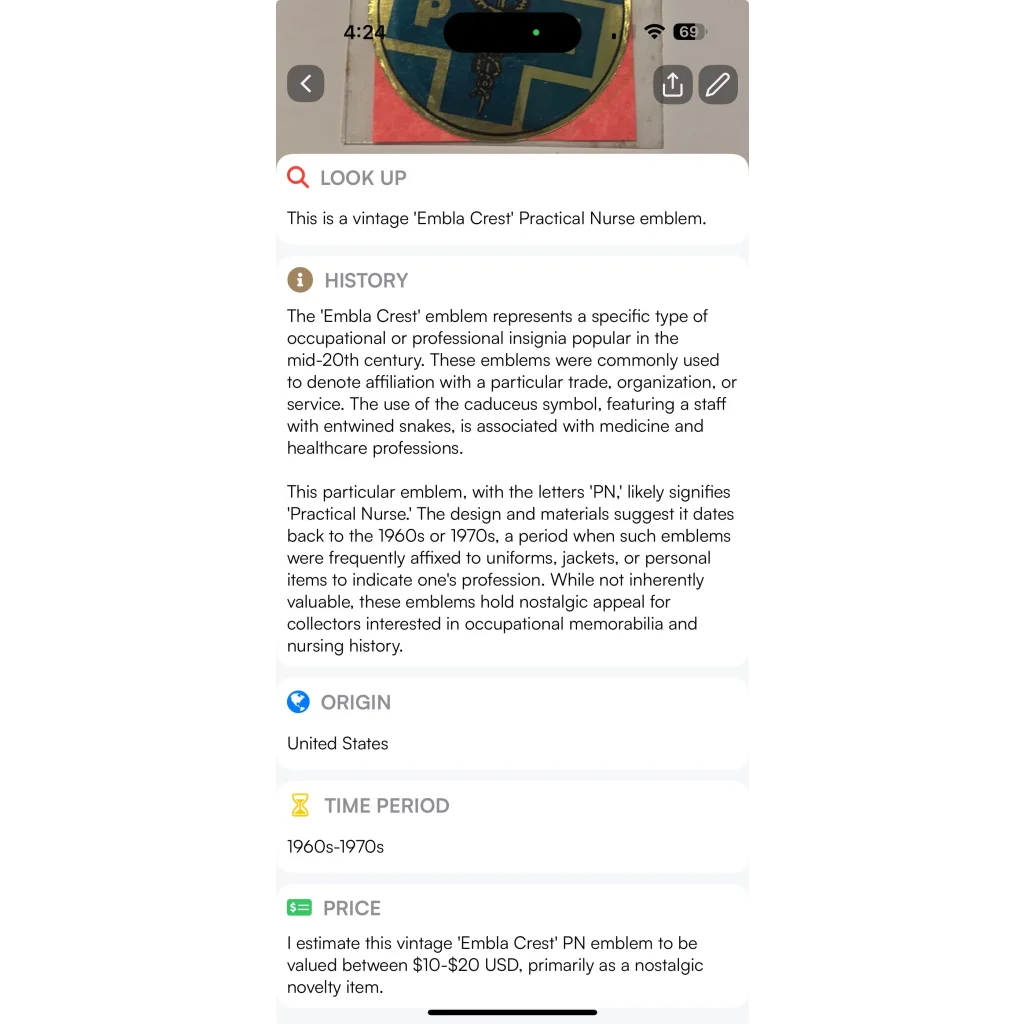 Rare Vintage 1960s Practical Nurse Emblem Embla Crest Collectible