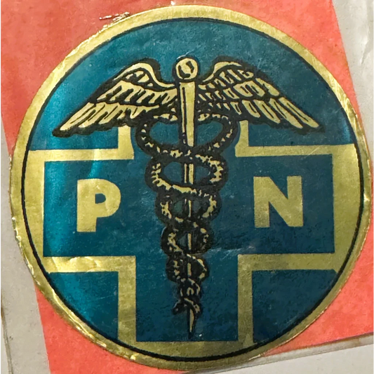 Rare Vintage 1960s Practical Nurse Emblem Embla Crest Collectible