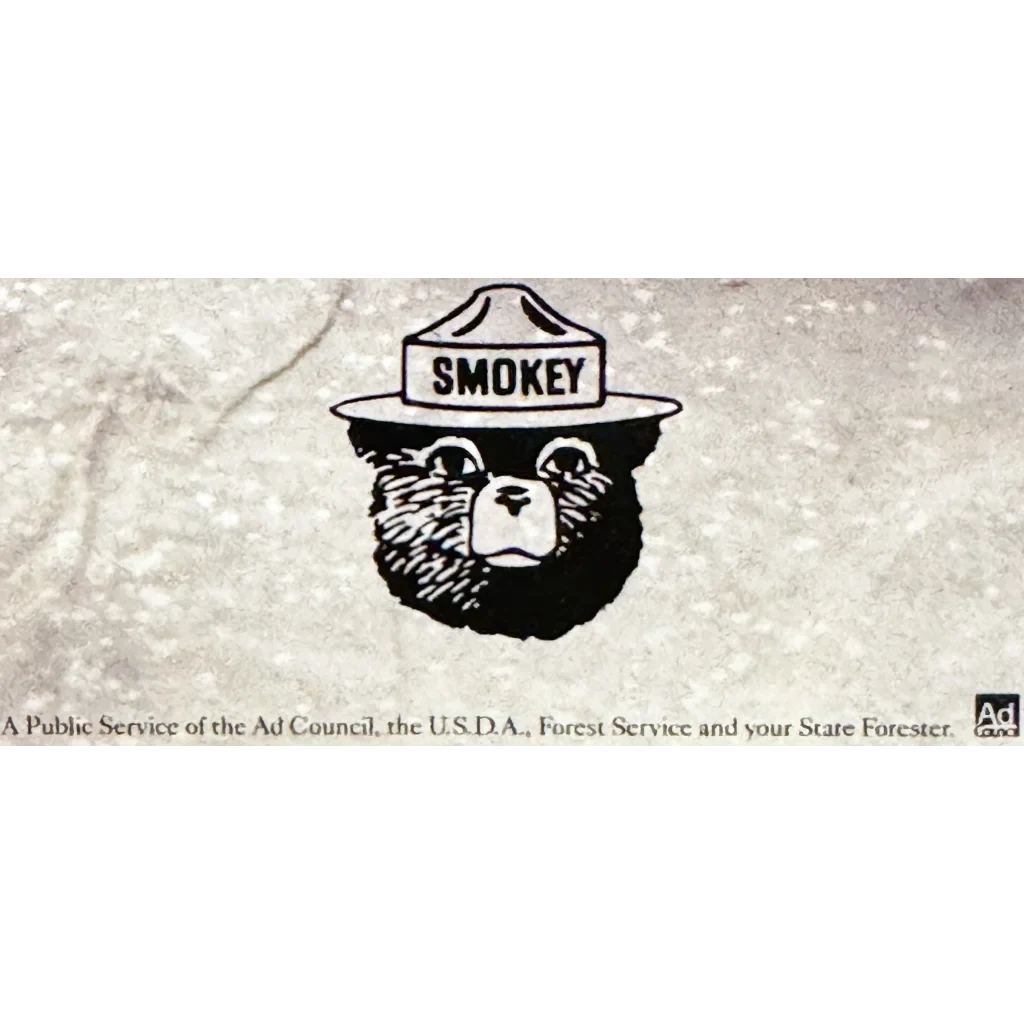 Rare Vintage Smokey Bear Forest Service Poster Discovered