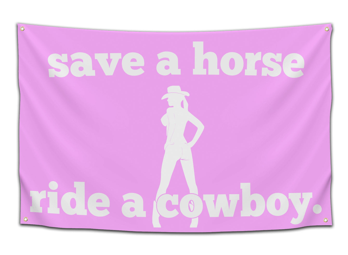 Save A Horse, Ride A Cowboy