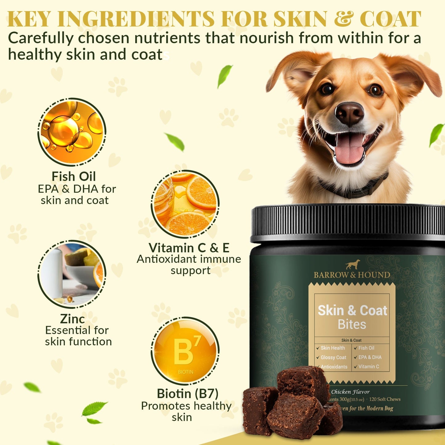 Skin & Coat Bites for Dogs – Shine, Strength & Allergy Relief