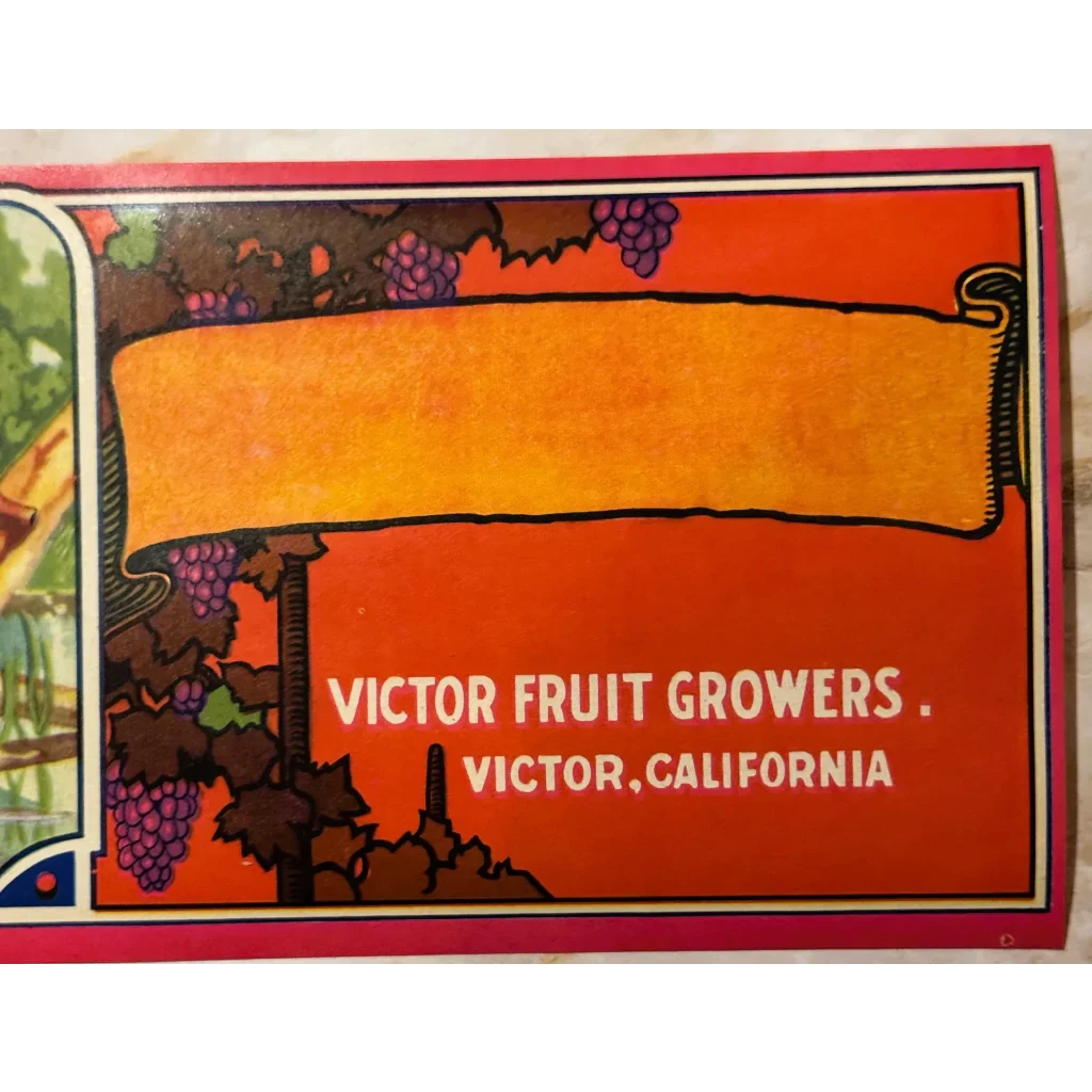 Snag a Slice of History: Vintage Beaver Grape Crate Label
