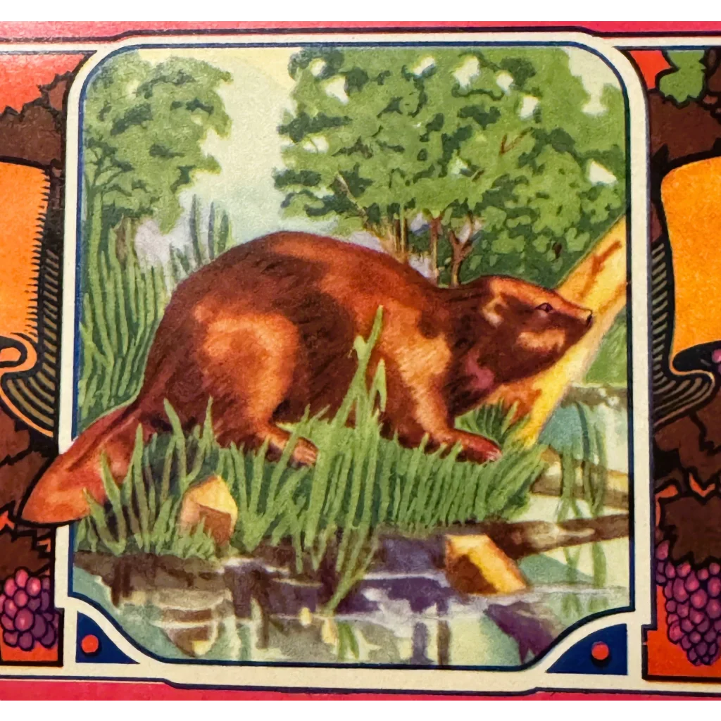 Snag a Slice of History: Vintage Beaver Grape Crate Label