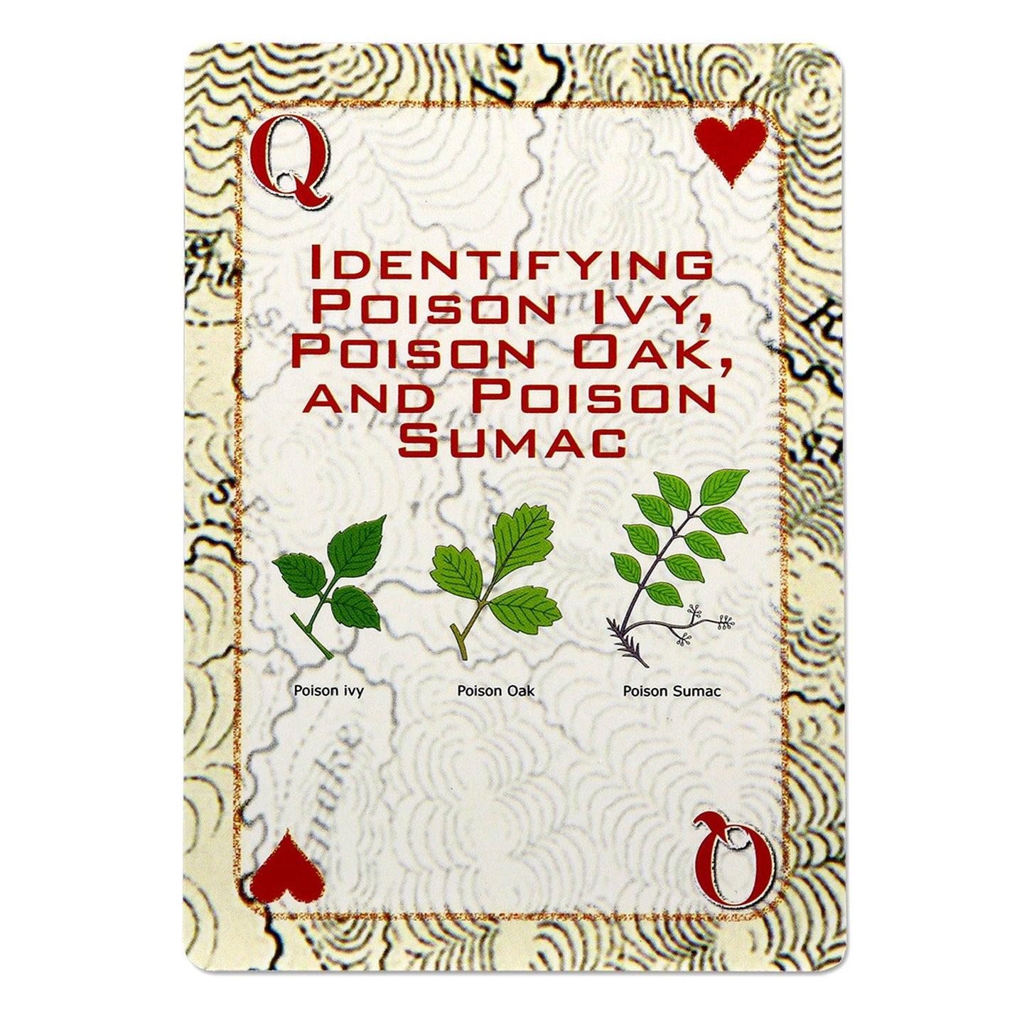 Quake Kits Survival Playing Cards | Essential Skills on Every Card