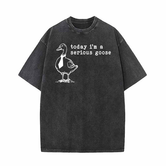 Today I’m A Serious Goose Vintage Washed T-shirt