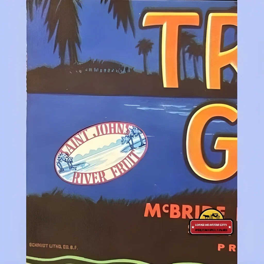 Vibrant Antique Vintage Tropic Gold Crate Label Brings History Alive