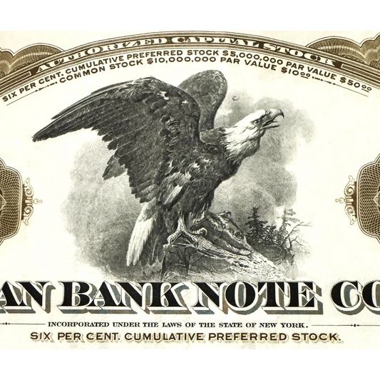 Rare American Bank Note Stock Certificate From the Roaring 20s