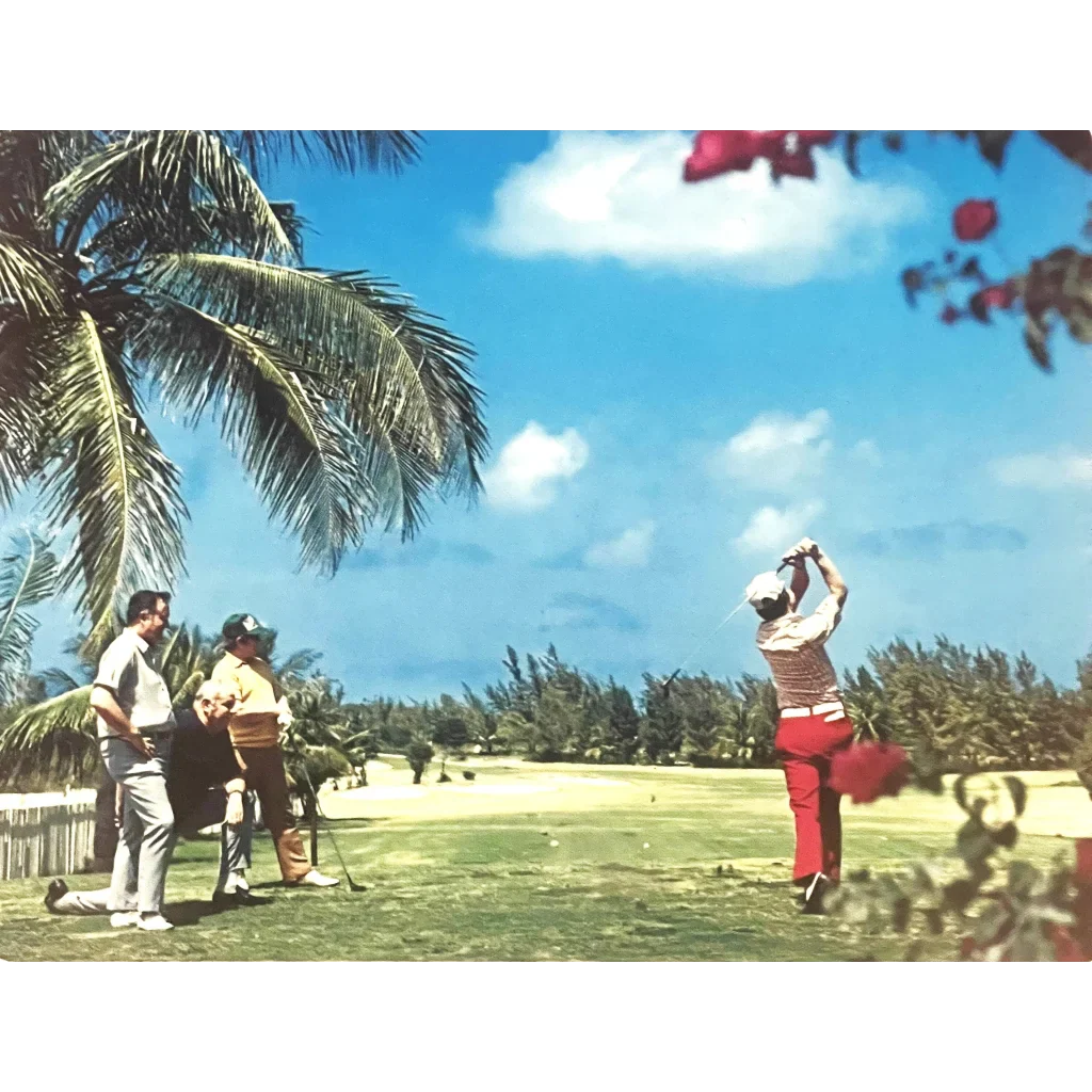 Rare 1970s Florida Sunshine State Golf Postcard Captures Golfing Era