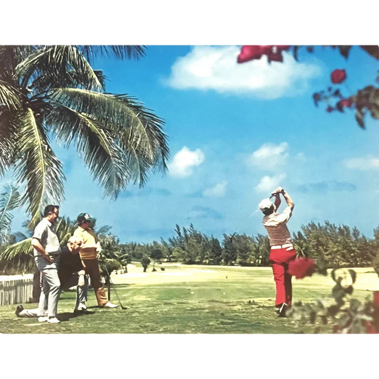 Rare 1970s Florida Sunshine State Golf Postcard Captures Golfing Era
