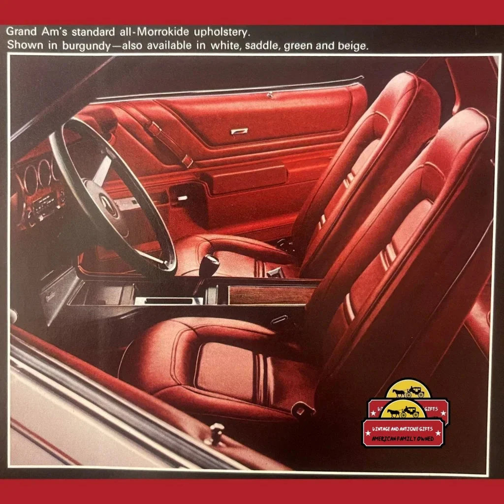 Vintage 1974 Pontiac Grand Am Dealer Brochure, Pontiac, MI, USA Icon, RIP 2010!