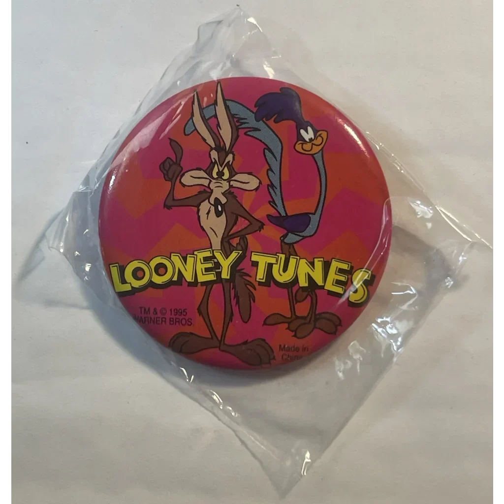 Rare 1995 Roadrunner & Wile E Coyote Looney Tunes Pin Discovered