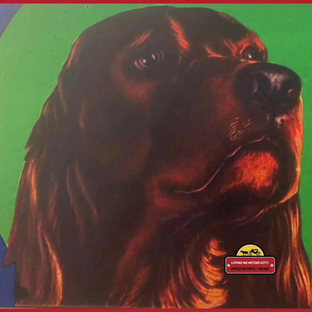 Vintage Setter Crate Label Captures 1940s California Charm