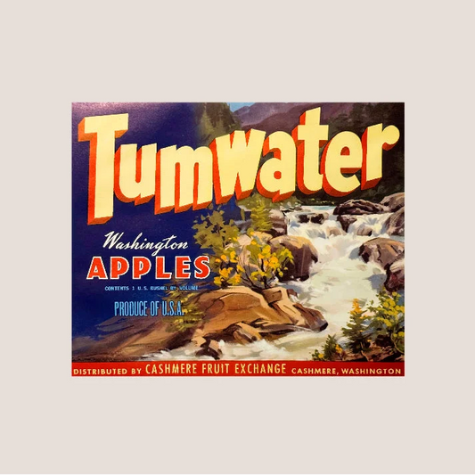 Vintage Tumwater Apple Label from Cashmere Fruit Exchange