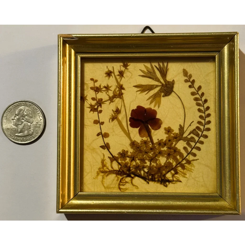 Vintage West Germany Dried Flower Art 1972 Framed Botanical Beauty
