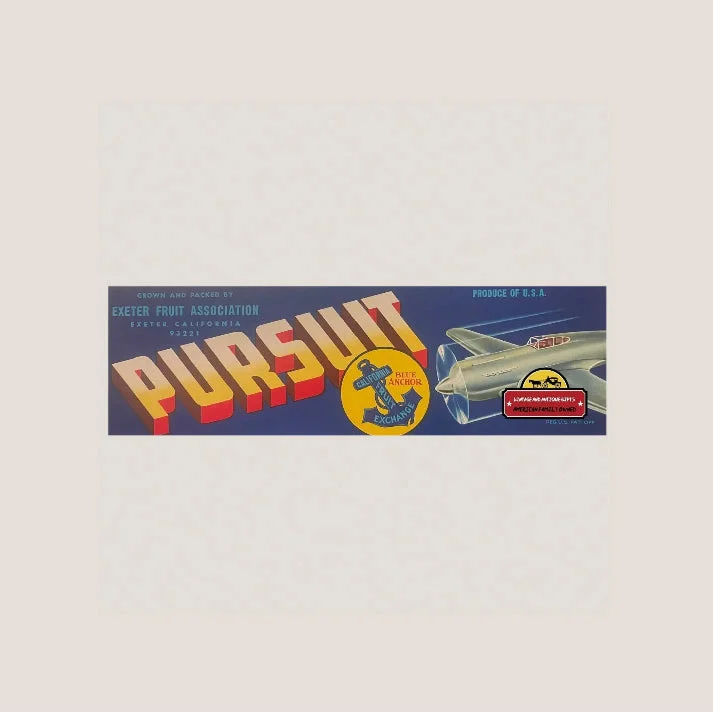 Vintage WWII P-51 Mustang Pursuit Crate Label from Exeter Fruit