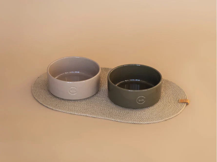 Ceramic Pet Bowl