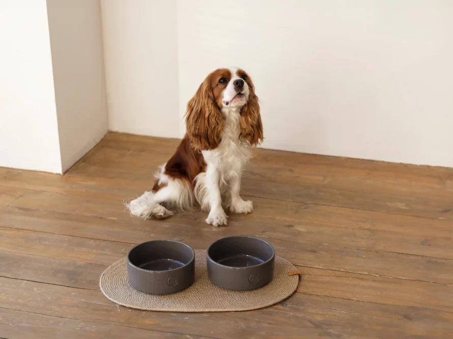 Ceramic Pet Bowl