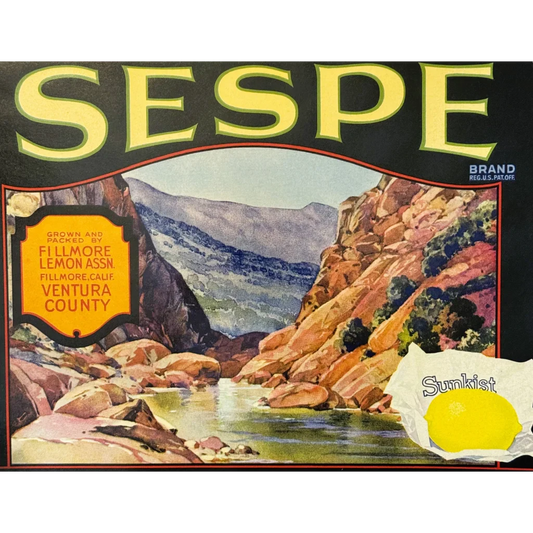 Zesty 1930s Sespe Crate Label Brings Vintage Sunkist Charm